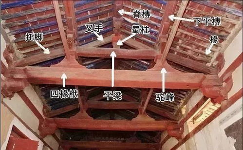 图解建筑材料 从烟草的意外应用看传统材料的创新潜力